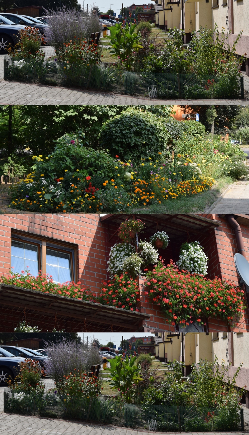 Rozstrzygnięcie Konkursu Balkonowego